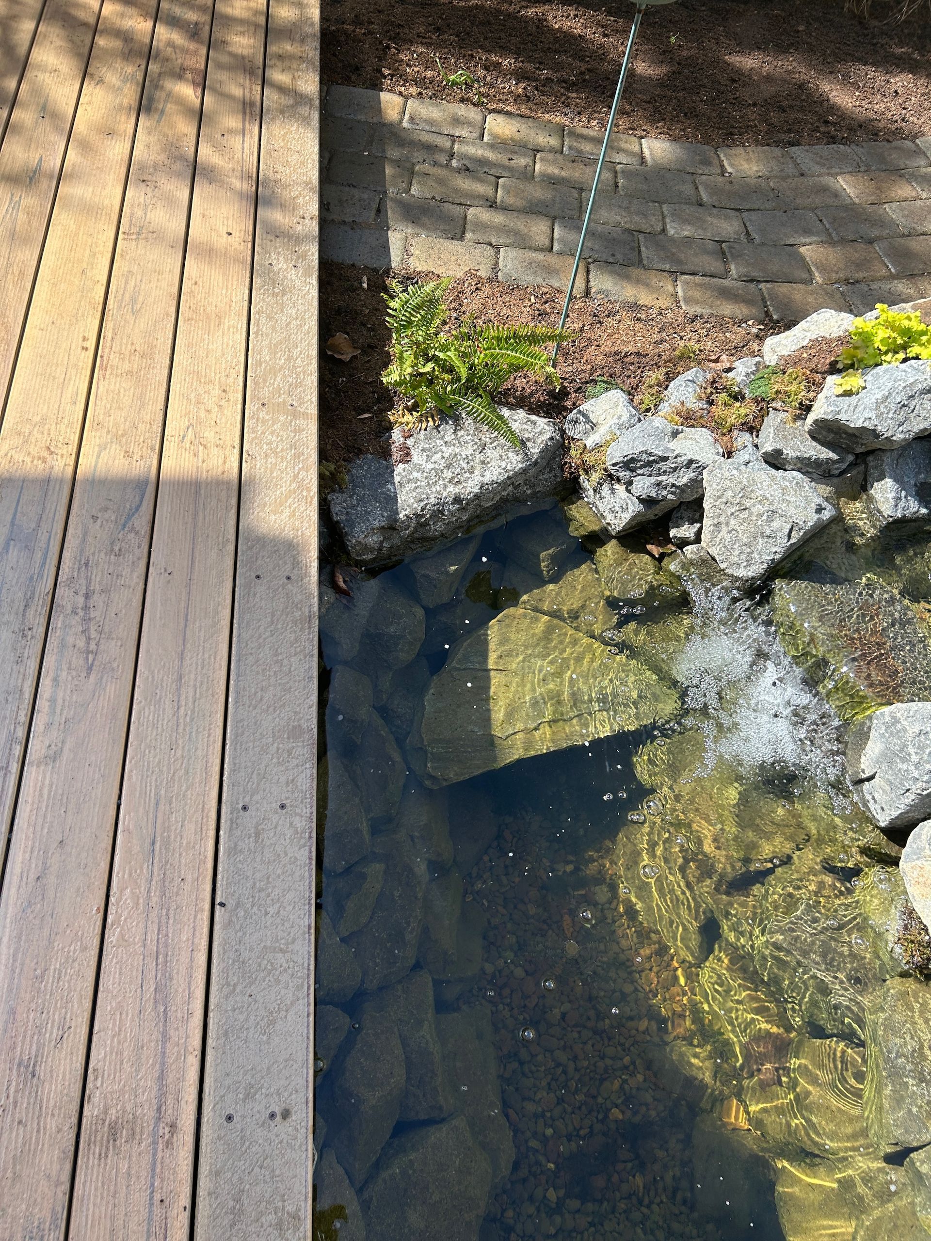 Wooden boardwalk beside a clear pond with rocks, sunlight, and a brick path in the background
