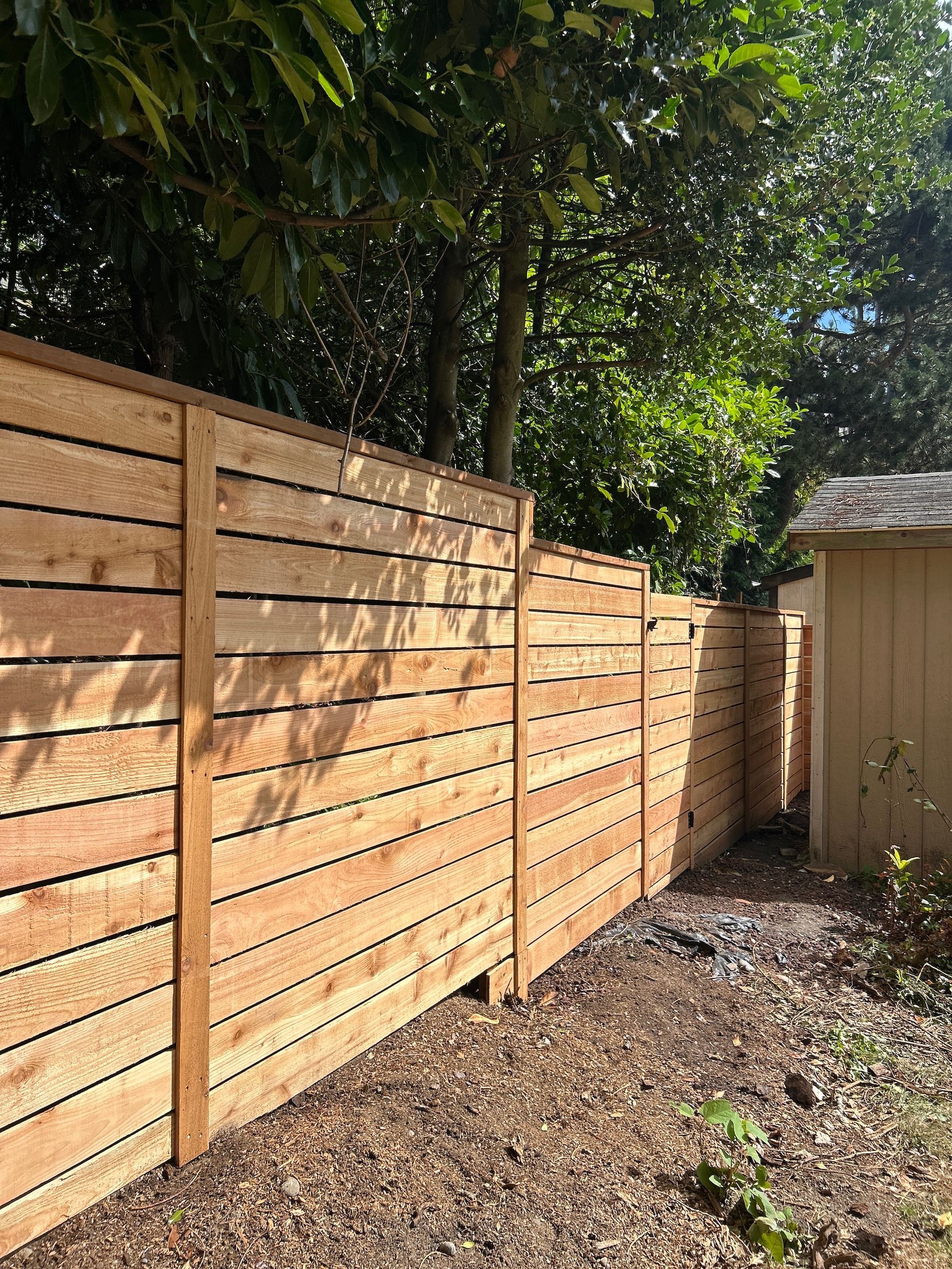 Wooden privacy fence along a gravel side yard beside a small shed, with trees overhead