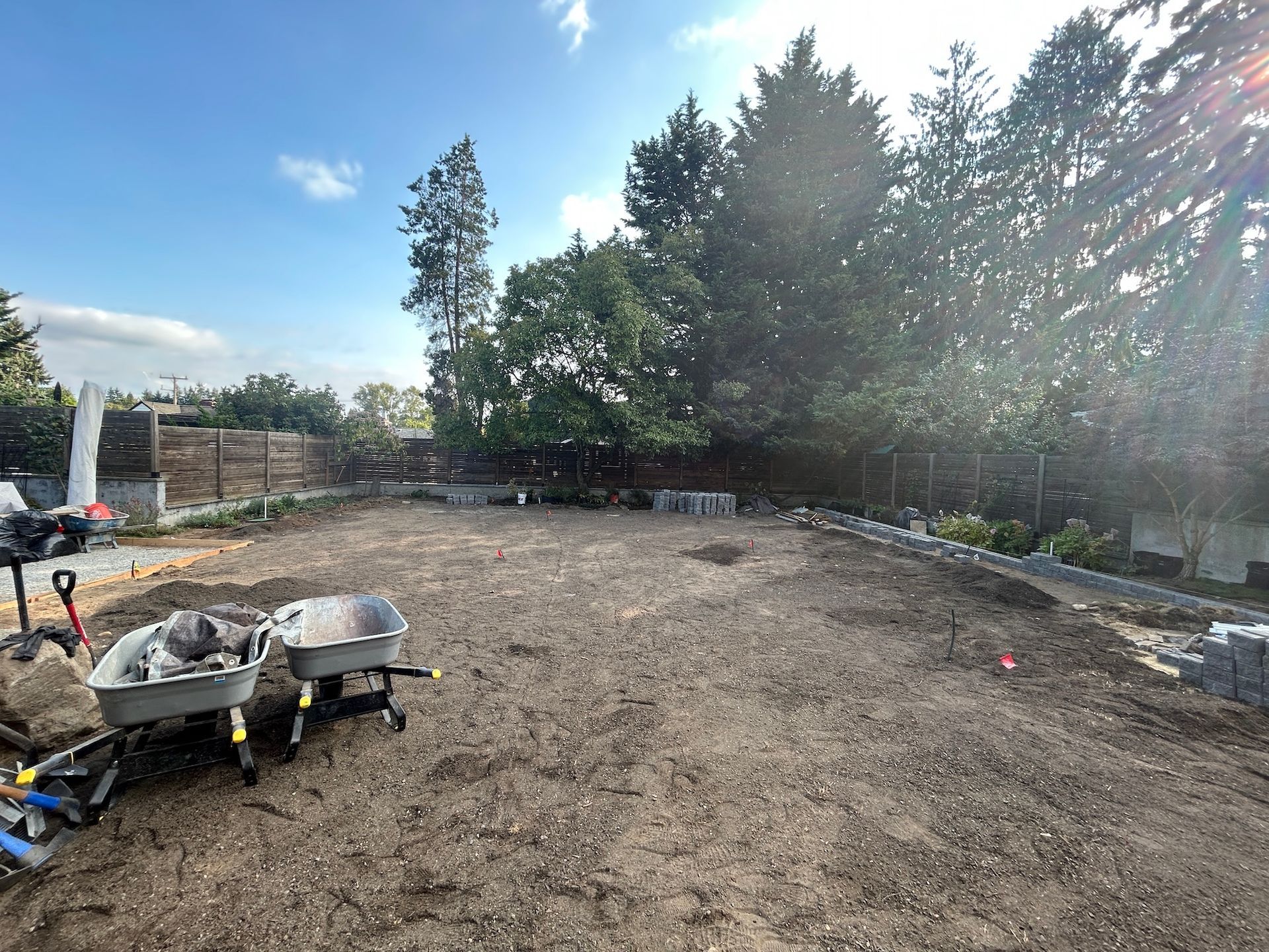 Wide dirt backyard with trees and garden tools, bright sunlight, and a stone wall in the background