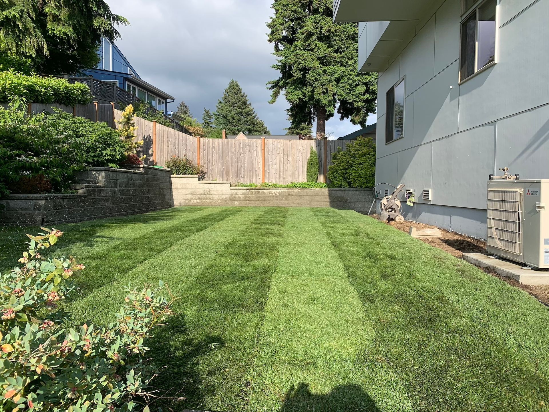 Backyard lawn with striped grass, trees, and a wooden fence beside a house and AC unit