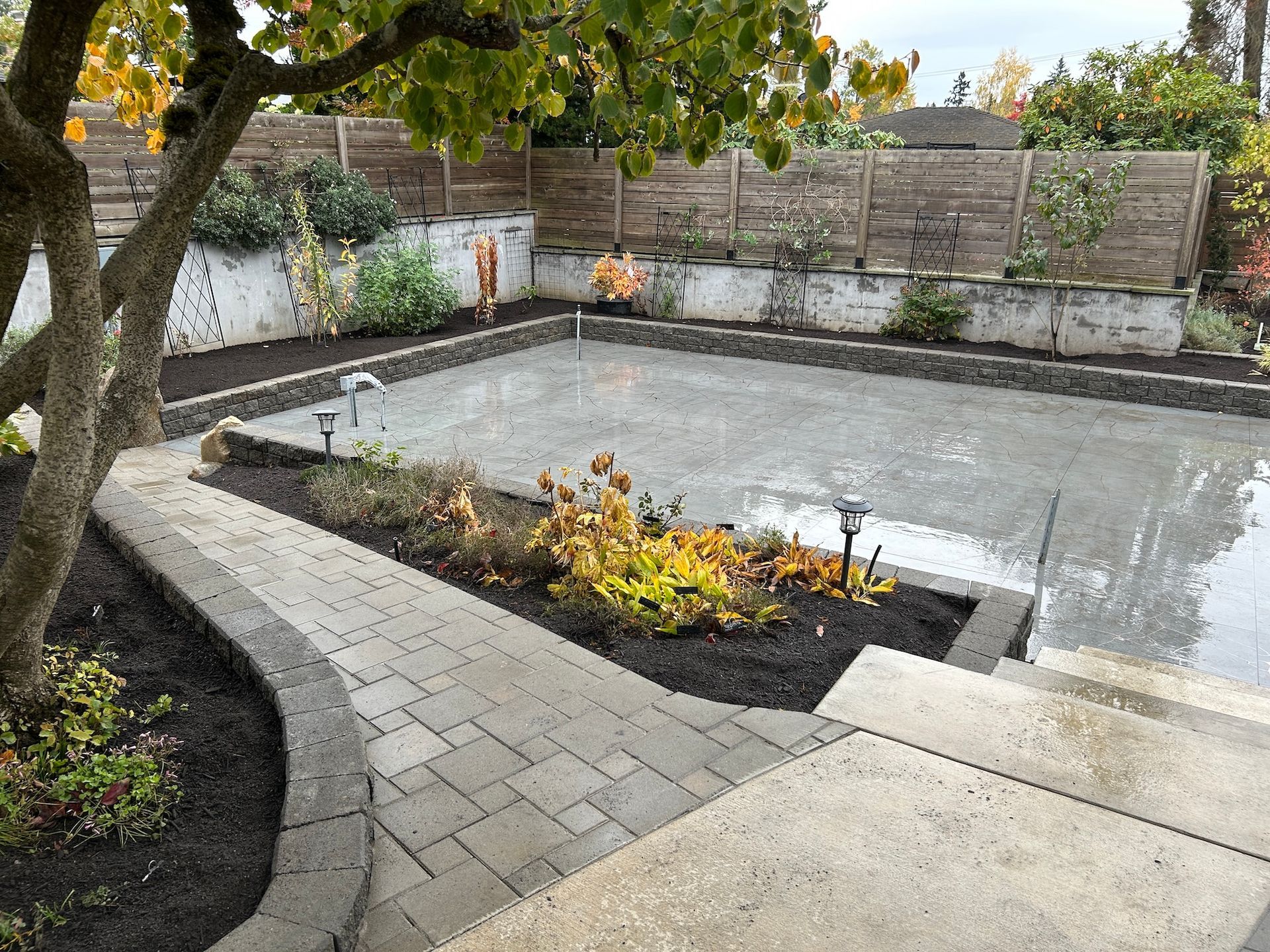 Backyard patio with paver walkway, raised garden beds, and a large concrete area under a tree.