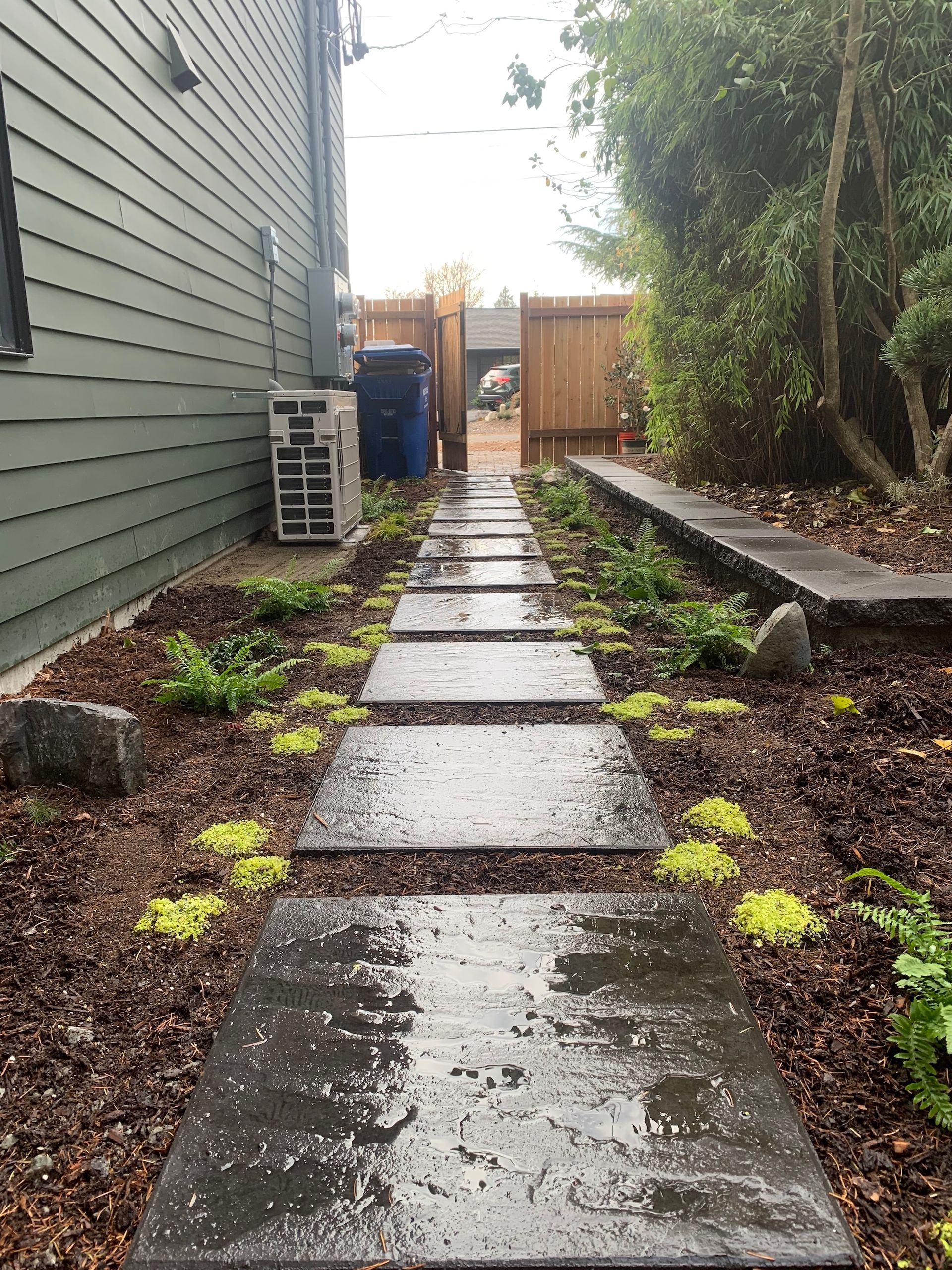 Rainy backyard path with wet stepping stones between a house and garden beds, leading to a gate.