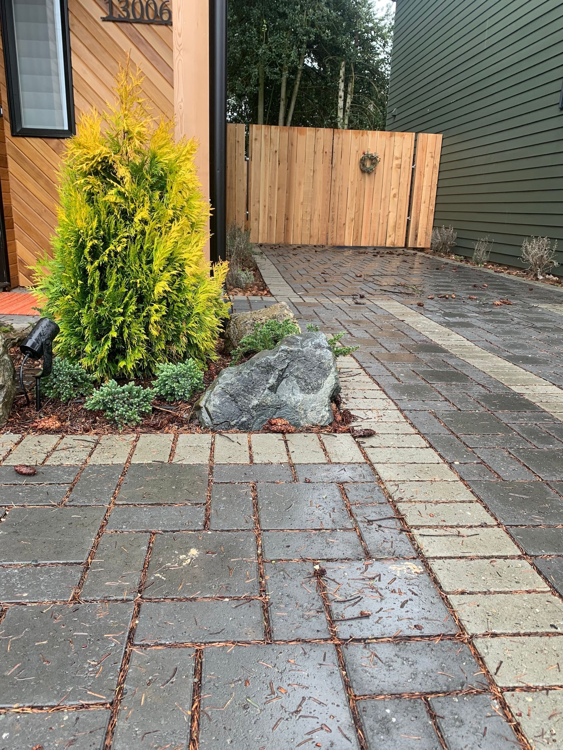 Front yard walkway with gray pavers, a yellow-green shrub, rocks, and a wooden gate between houses