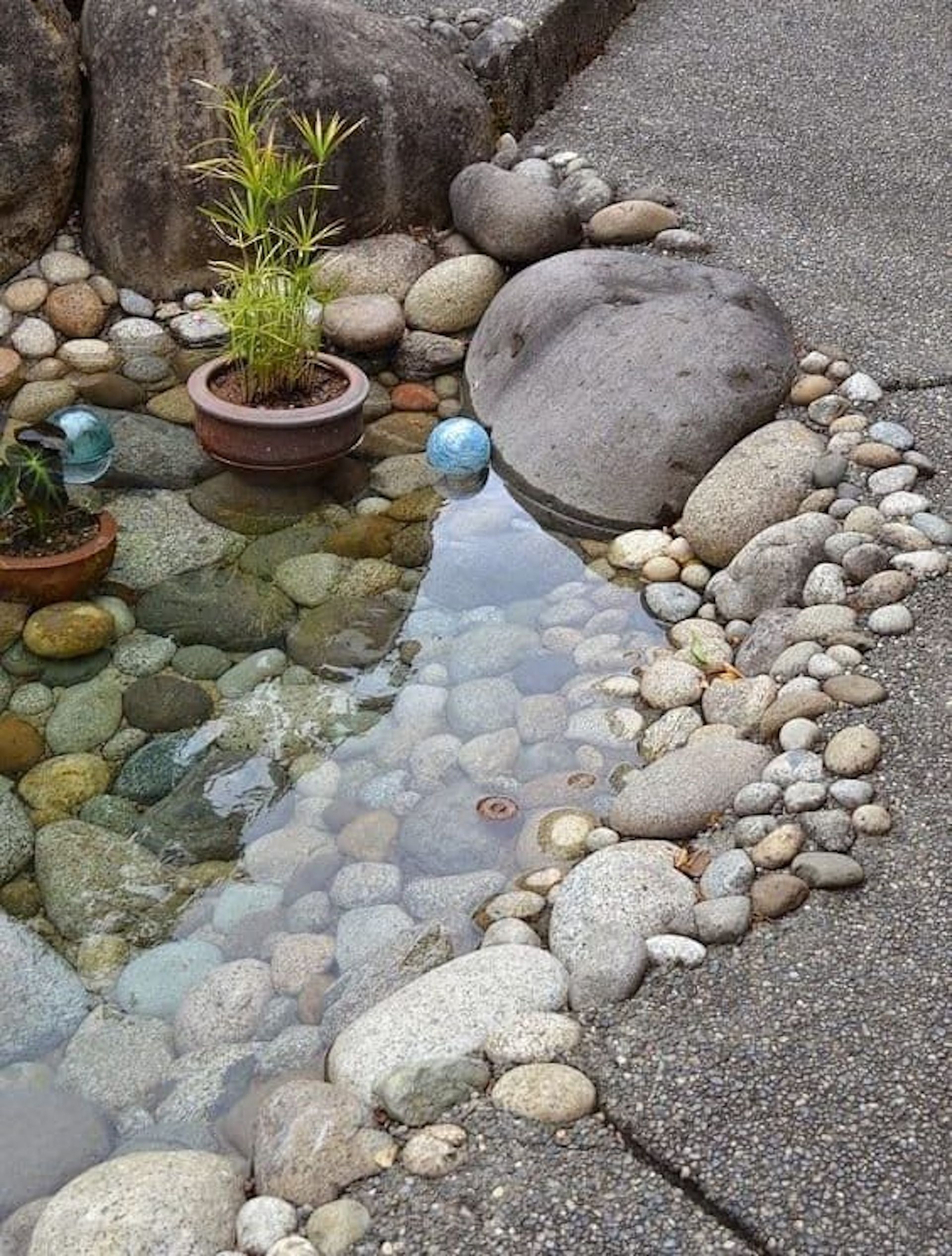 Small backyard pond with clear water, rocks, pebbles, and a potted plant beside the edge.