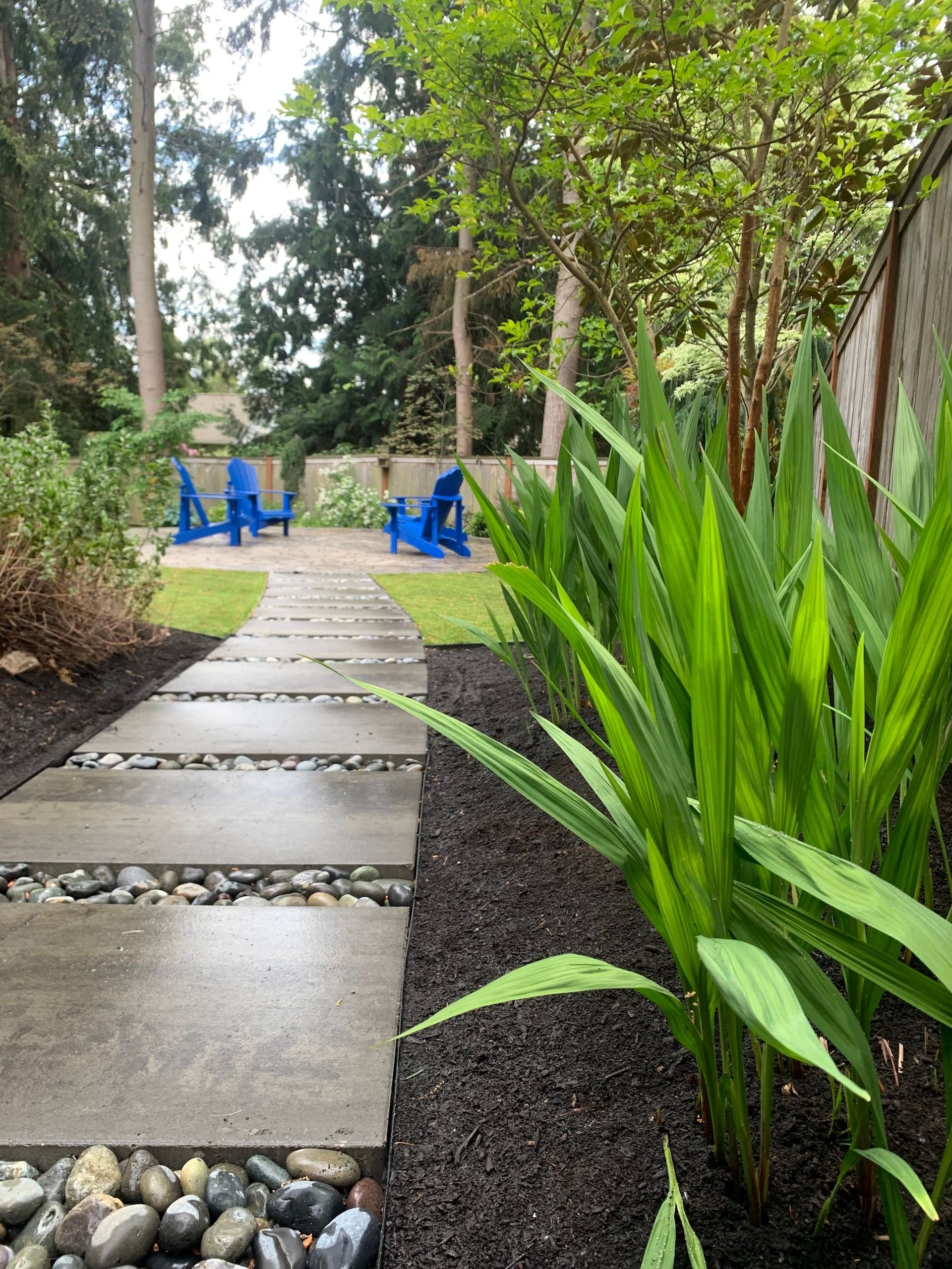 Garden path with stepping stones leading to blue chairs amid lush green plants and trees