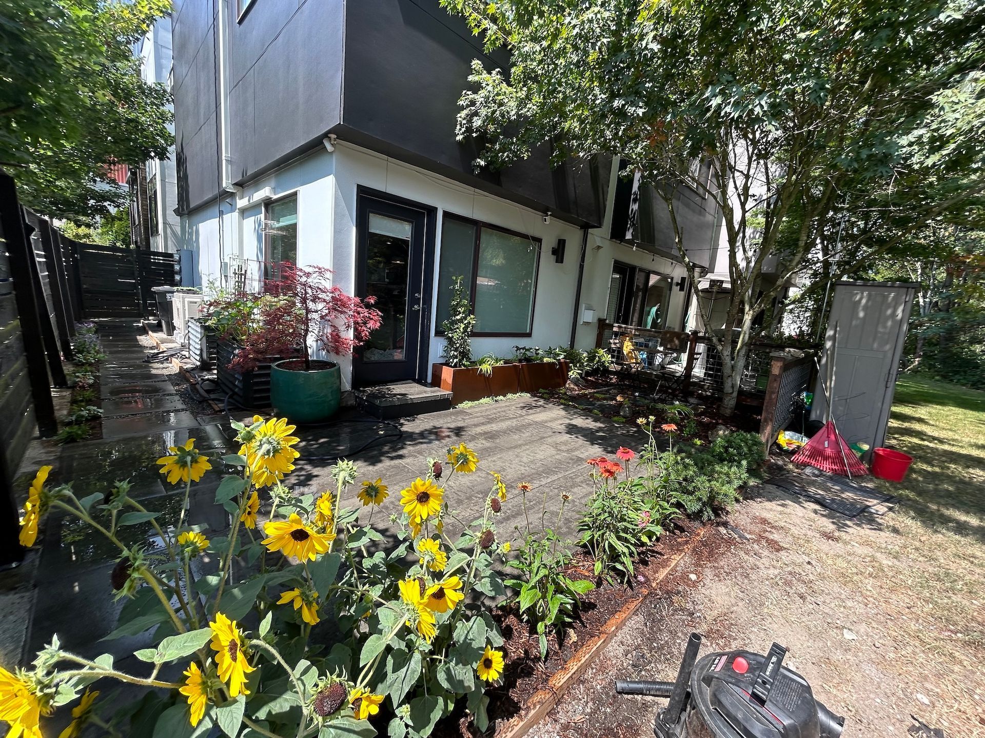 Flower-filled garden beside a modern house with a patio, trees, and potted plants in bright sunlight