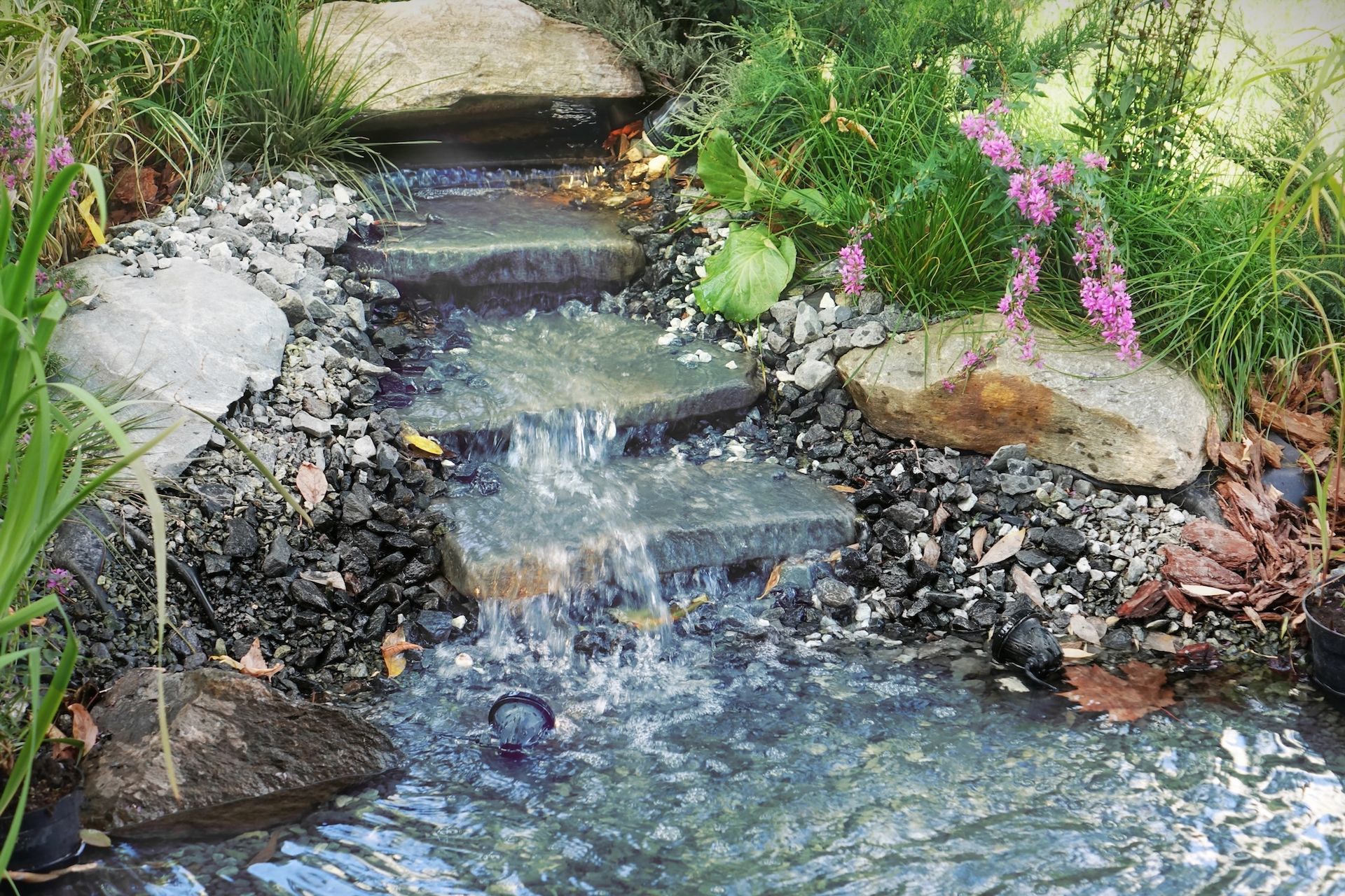 Small garden stream flowing over rocks with flowers and greenery on both sides