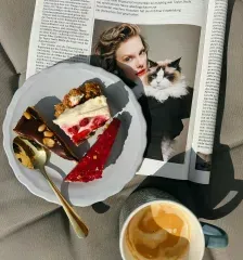 service Life style magazine publishing services