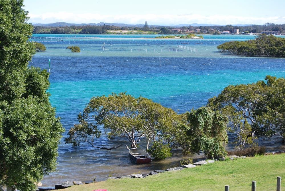A Large Body Of Water With Trees In The Foreground — Manning Valley Pumps And Irrigation In Forster, NSW