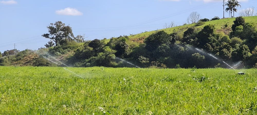 A Sprinkler Is Spraying Water On A Lush Green Field — Manning Valley Pumps And Irrigation In Gloucester, NSW