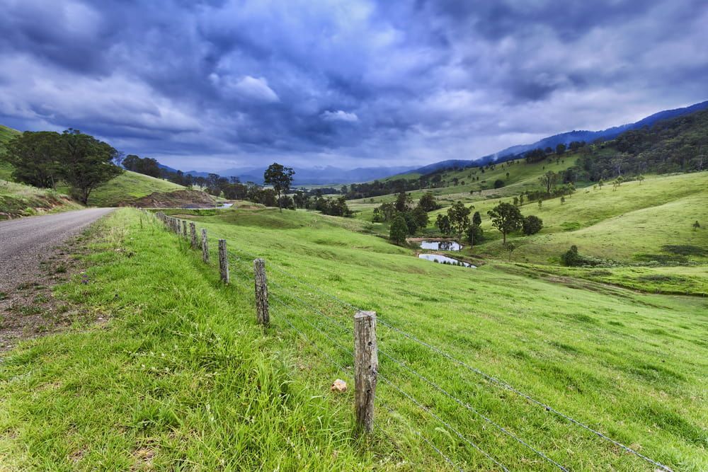 A Dirt Road Going Through A Grassy Field — Manning Valley Pumps And Irrigation In Gloucester, NSW