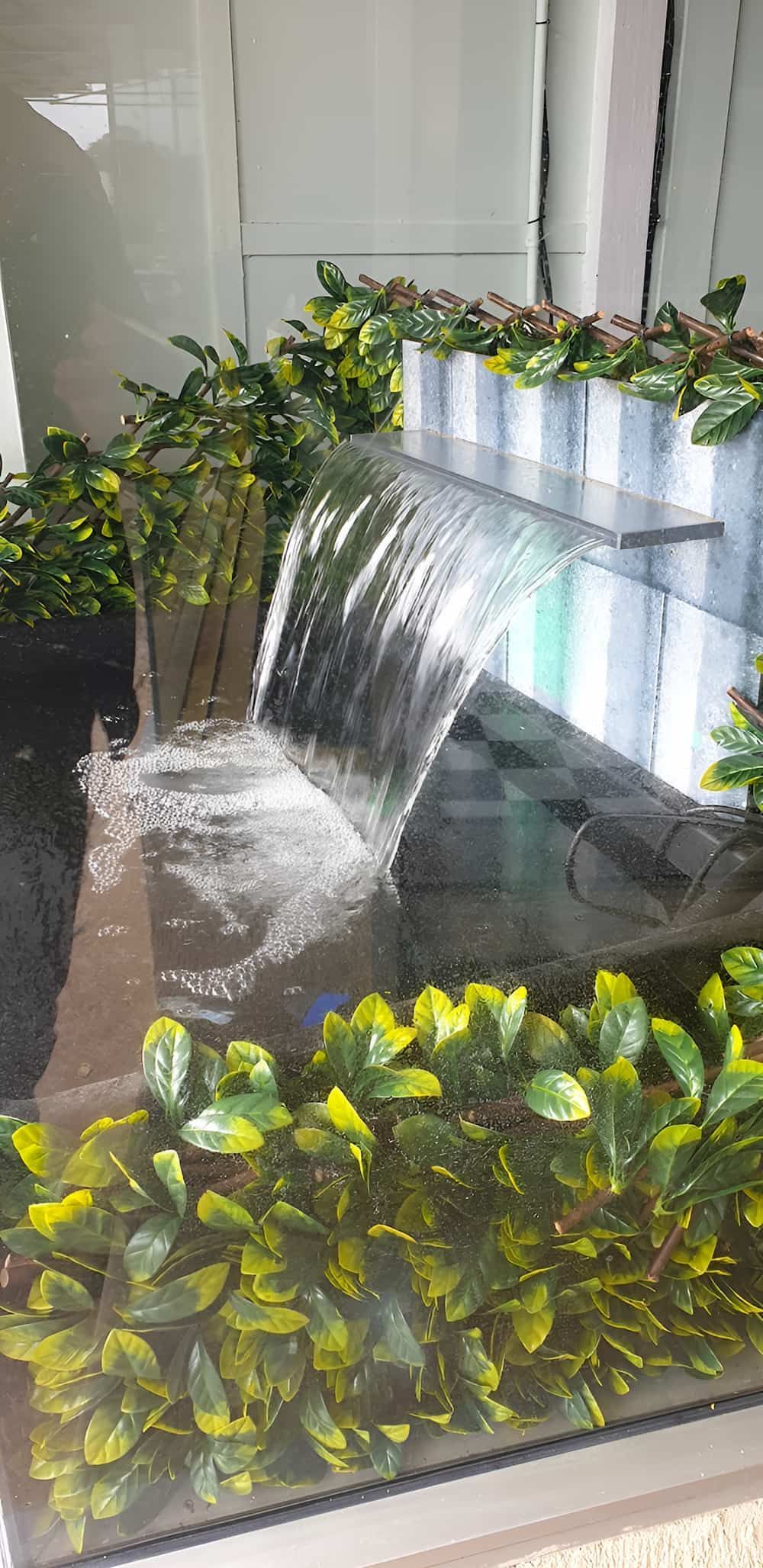 There Is A Waterfall In The Middle Of A Pond Surrounded By Plants — Manning Valley Pumps And Irrigation In Nabiac, NSW