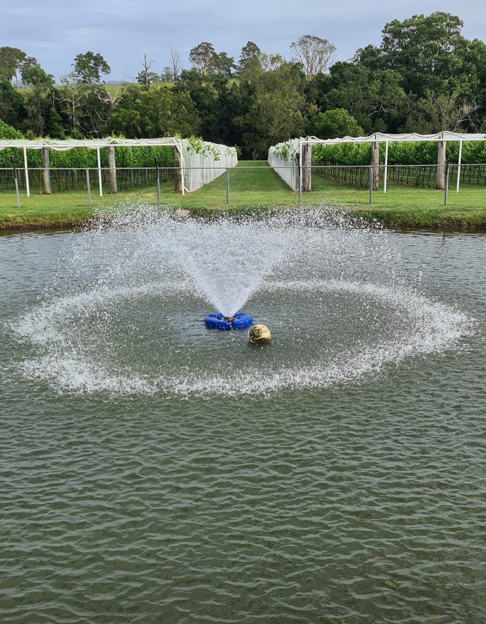 A Bag Of Pond Max Premium Koi Fish Food — Manning Valley Pumps And Irrigation In Wingham, NSW