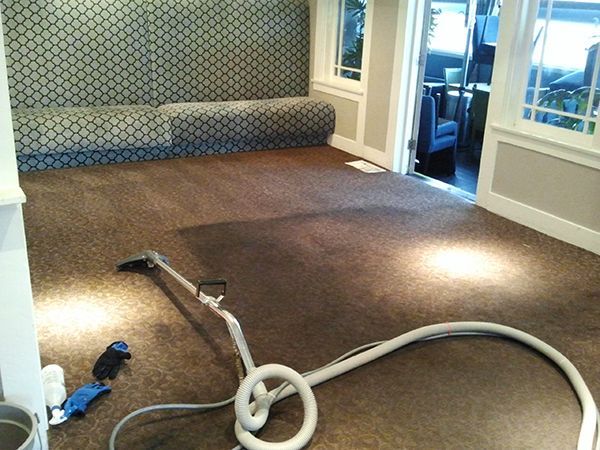 A vacuum cleaner is laying on the floor in a living room