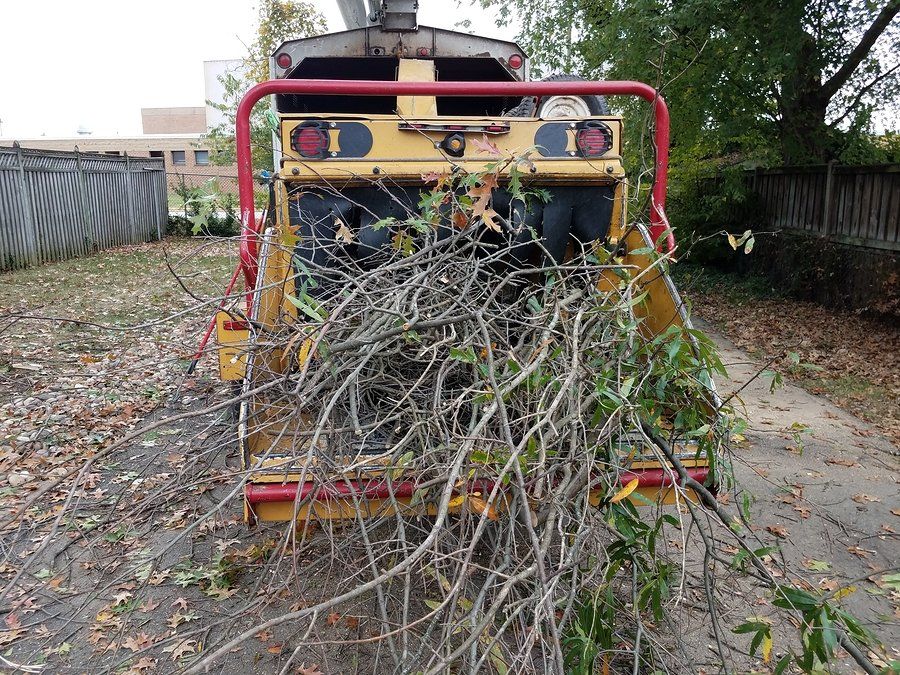 tree twigs in the truck