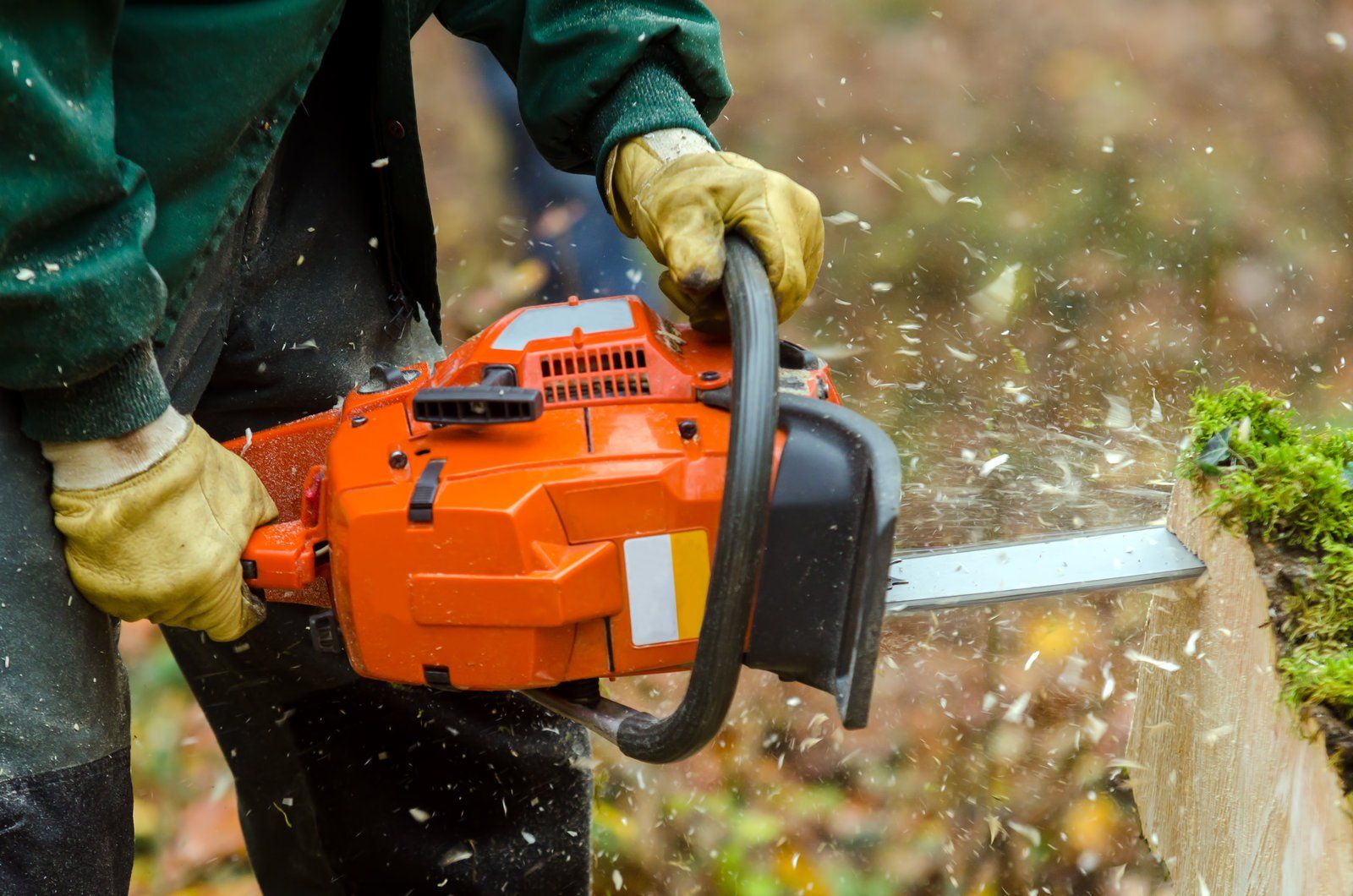 worker cutting the wood
