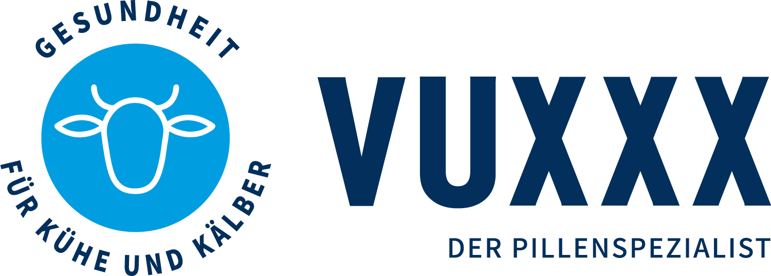 werbeagentur vechta, webseiten werbeagentur, marketing projekte, marketing design