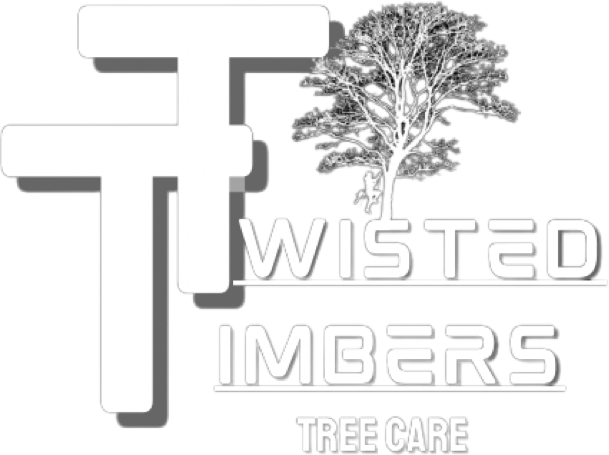 Twisted Timbers Tree Care, Shenandoah, Lexington VA, Buena vista VA, Charlottesville VA, Culpeper VA, Fredericksburg VA, Broadway VA, Grottoes VA, Massanetta Springs VA, Greenville VA, Luray, VA, Elkton, VA, Harrisonburg VA, Jollett VA, Stanley VA, Staunton VA, Comertown VA, Grove Hill VA, New Market VA, Waynesboro VA, Tenth Legion VA, Tree Removal, Tree Removal Company, Tree Removal Near Me, Emergency Tree Removal, Shenandoah Tree Removal, Waynesboro Tree Removal, Charlottesville Tree Removal, Harrisonburg Tree Removal, Lexington Tree Removal, Staunton Tree Removal, Tree Trimming, Shenandoah Tree Trimming, Waynesboro Tree Trimming, Charlottesville Tree Trimming, Harrisonburg Tree Trimming, Lexington Tree Trimming, Staunton Tree Trimming, Stump Grinding, Stump Grinding Near Me, Shenandoah Stump Grinding, Waynesboro Stump Grinding, Charlottesville Stump Grinding, Harrisonburg Stump Grinding, Lexington Stump Grinding, Staunton Stump Grinding, Lot Clearing, Lot Clearing Near Me, Shenandoah Lot Clearing, Waynesboro Lot Clearing, Charlottesville Lot Clearing, Harrisonburg Lot Clearing, Lexington Lot Clearing, Staunton Lot Clearing, Storm Damage Clean Up, Tree Risk Assessments, Tree Health Assessments