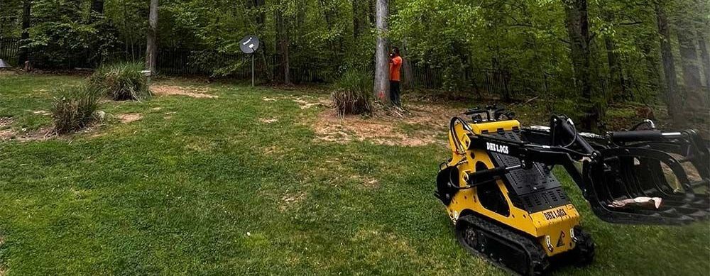 Twisted Timbers Tree Care, Shenandoah, Lexington VA, Buena vista VA, Charlottesville VA, Culpeper VA, Fredericksburg VA, Broadway VA, Grottoes VA, Massanetta Springs VA, Greenville VA, Luray, VA, Elkton, VA, Harrisonburg VA, Jollett VA, Stanley VA, Staunton VA, Comertown VA, Grove Hill VA, New Market VA, Waynesboro VA, Tenth Legion VA, Tree Removal, Tree Removal Company, Tree Removal Near Me, Emergency Tree Removal, Shenandoah Tree Removal, Waynesboro Tree Removal, Charlottesville Tree Removal, Harrisonburg Tree Removal, Lexington Tree Removal, Staunton Tree Removal, Tree Trimming, Shenandoah Tree Trimming, Waynesboro Tree Trimming, Charlottesville Tree Trimming, Harrisonburg Tree Trimming, Lexington Tree Trimming, Staunton Tree Trimming, Stump Grinding, Stump Grinding Near Me, Shenandoah Stump Grinding, Waynesboro Stump Grinding, Charlottesville Stump Grinding, Harrisonburg Stump Grinding, Lexington Stump Grinding, Staunton Stump Grinding, Lot Clearing, Lot Clearing Near Me, Shenandoah Lot Clearing, Waynesboro Lot Clearing, Charlottesville Lot Clearing, Harrisonburg Lot Clearing, Lexington Lot Clearing, Staunton Lot Clearing, Storm Damage Clean Up, Tree Risk Assessments, Tree Health Assessments