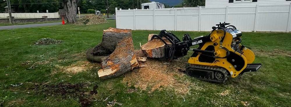 Twisted Timbers Tree Care, Shenandoah, Lexington VA, Buena vista VA, Charlottesville VA, Culpeper VA, Fredericksburg VA, Broadway VA, Grottoes VA, Massanetta Springs VA, Greenville VA, Luray, VA, Elkton, VA, Harrisonburg VA, Jollett VA, Stanley VA, Staunton VA, Comertown VA, Grove Hill VA, New Market VA, Waynesboro VA, Tenth Legion VA, Tree Removal, Tree Removal Company, Tree Removal Near Me, Emergency Tree Removal, Shenandoah Tree Removal, Waynesboro Tree Removal, Charlottesville Tree Removal, Harrisonburg Tree Removal, Lexington Tree Removal, Staunton Tree Removal, Tree Trimming, Shenandoah Tree Trimming, Waynesboro Tree Trimming, Charlottesville Tree Trimming, Harrisonburg Tree Trimming, Lexington Tree Trimming, Staunton Tree Trimming, Stump Grinding, Stump Grinding Near Me, Shenandoah Stump Grinding, Waynesboro Stump Grinding, Charlottesville Stump Grinding, Harrisonburg Stump Grinding, Lexington Stump Grinding, Staunton Stump Grinding, Lot Clearing, Lot Clearing Near Me, Shenandoah Lot Clearing, Waynesboro Lot Clearing, Charlottesville Lot Clearing, Harrisonburg Lot Clearing, Lexington Lot Clearing, Staunton Lot Clearing, Storm Damage Clean Up, Tree Risk Assessments, Tree Health Assessments