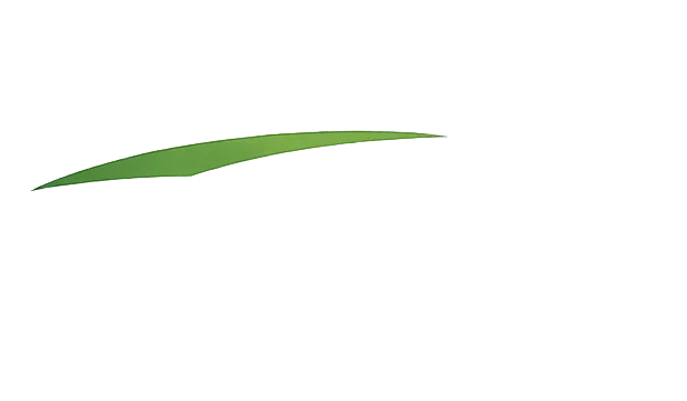 Real Estate Agent in St Augustine, FL | Pacetti Realty Company Inc