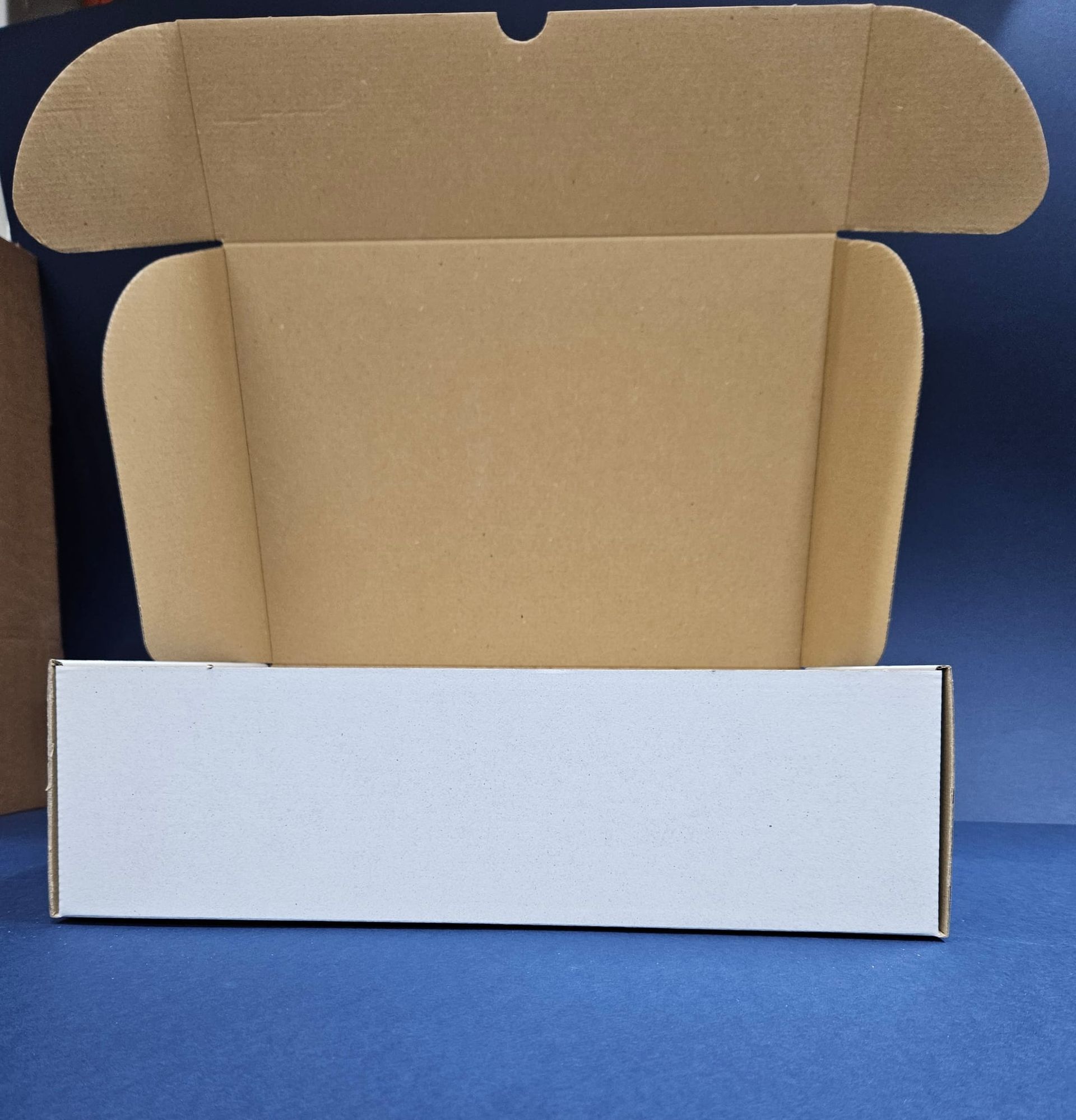 Scatola di cartone aperta, beige all'interno e bianca sul davanti, su sfondo blu.
