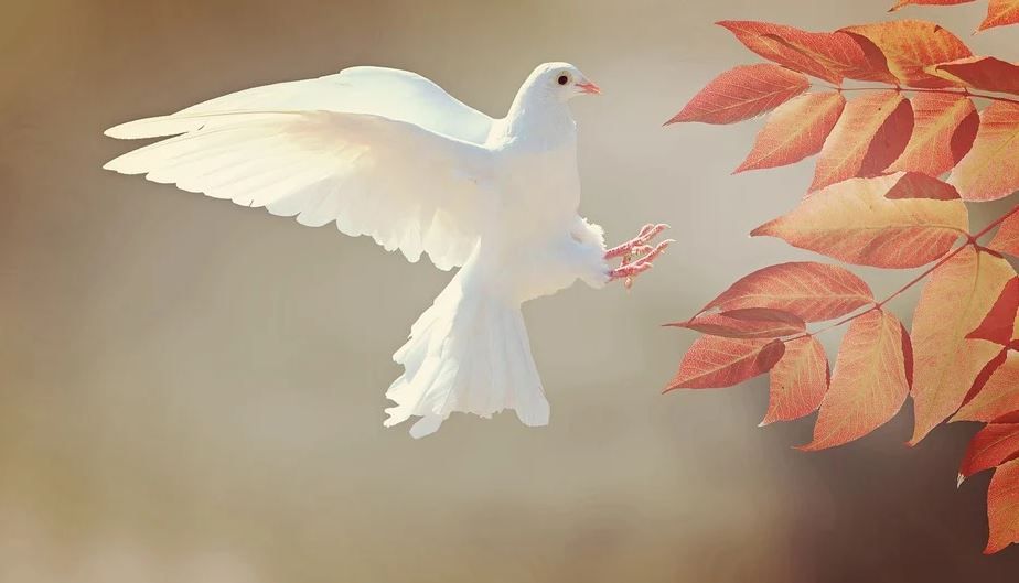 funeral homes Acworth, GA