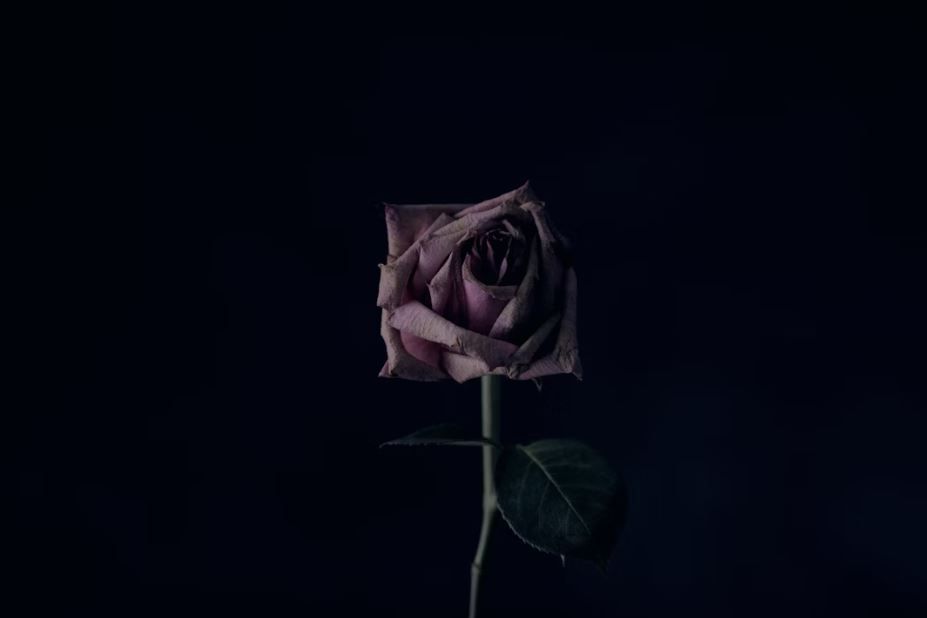 funeral homes Cartersville, GA