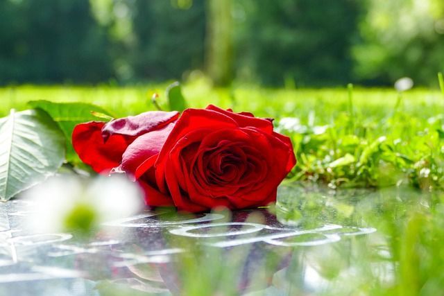 funeral homes in Acworth, GA