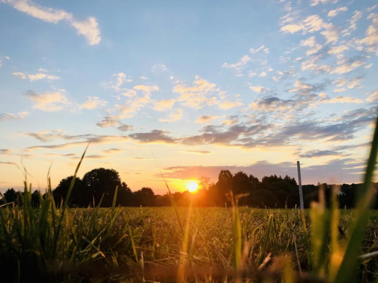 Peaceful sunset over an open field symbolizing remembrance and reflection with support from a funeral home and cremations in Kennesaw, GA.
