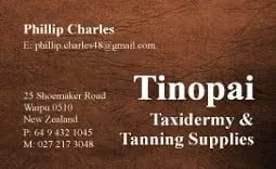 business cards nz