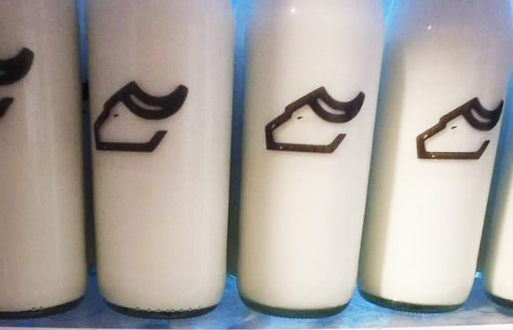 logo printing