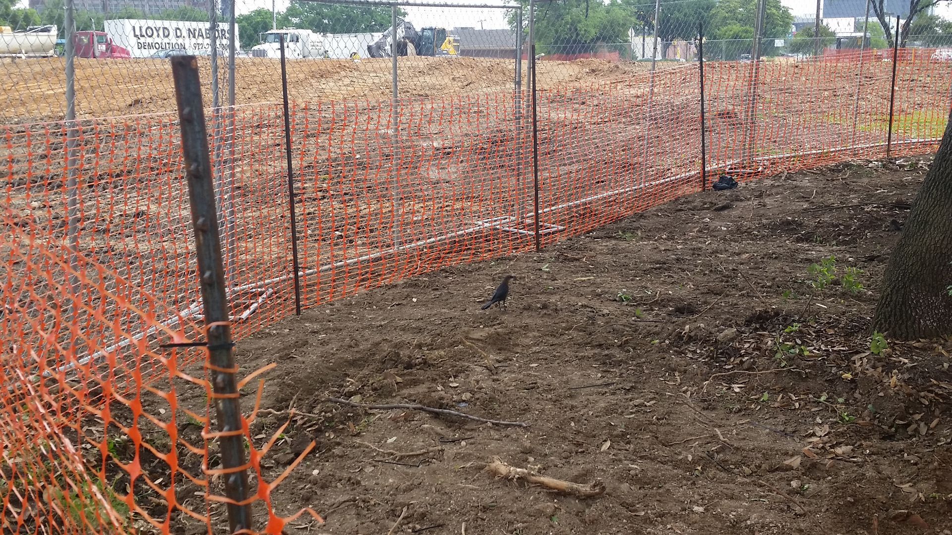 Orange safety fence along a muddy path beside a wooded construction site