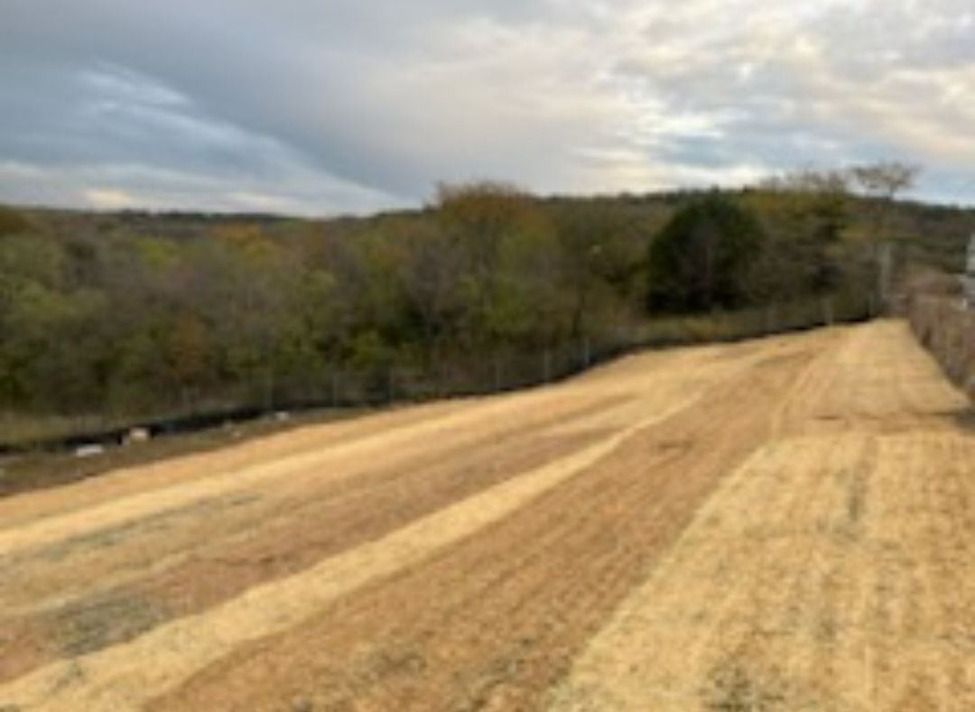 Cleared dirt road or trail through a wooded area under a cloudy sky