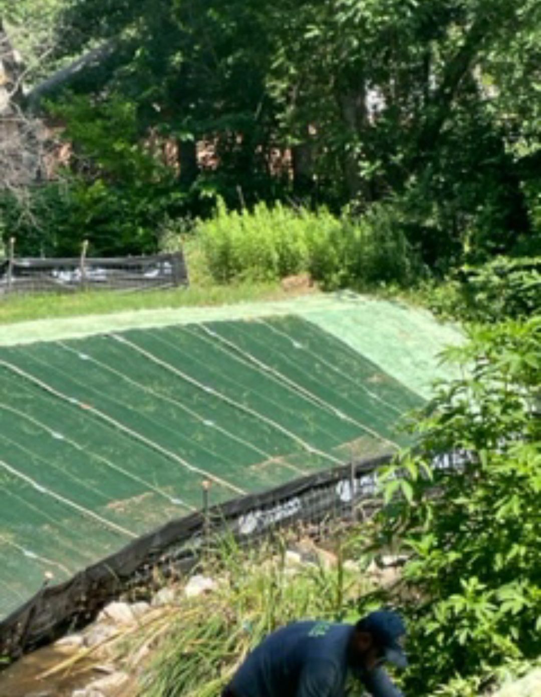 Green tarp-covered roof in a wooded area, with a person crouching near the bottom edge.