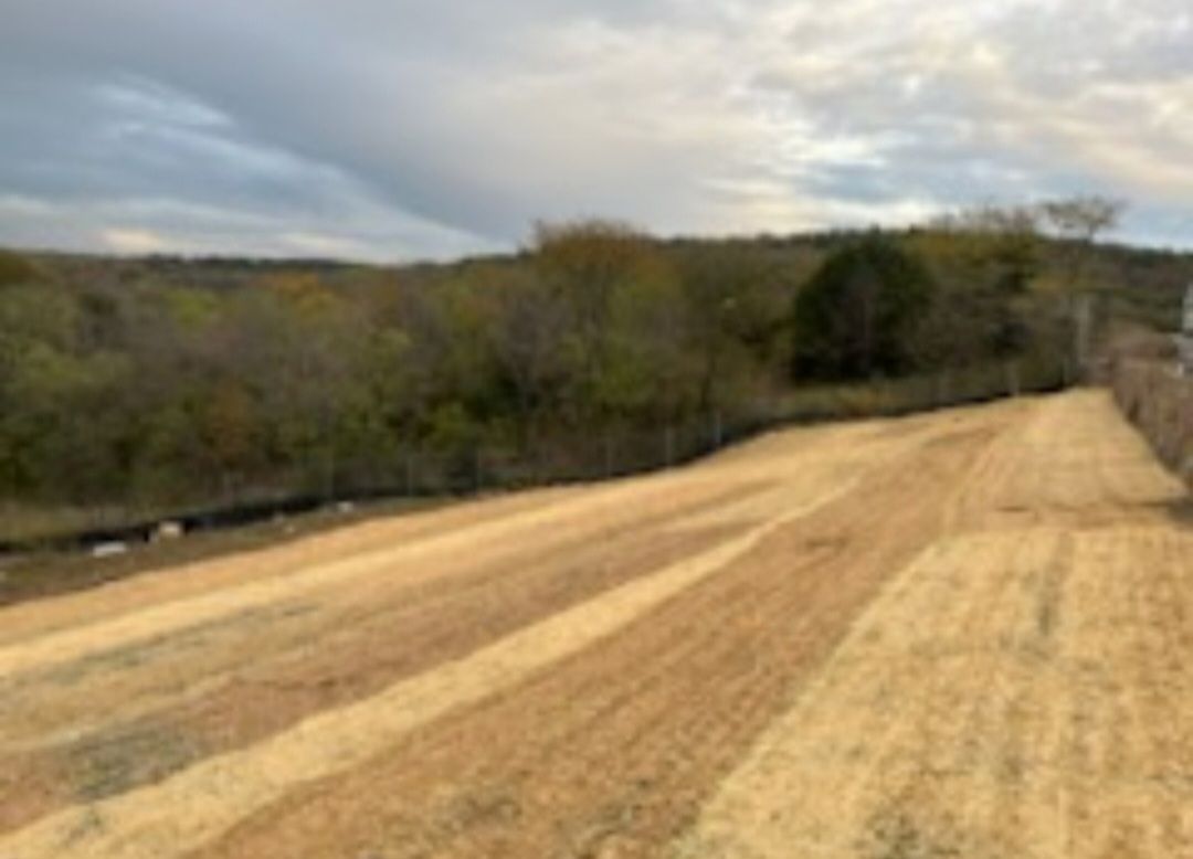 Graded dirt road under construction beside trees and cloudy sky