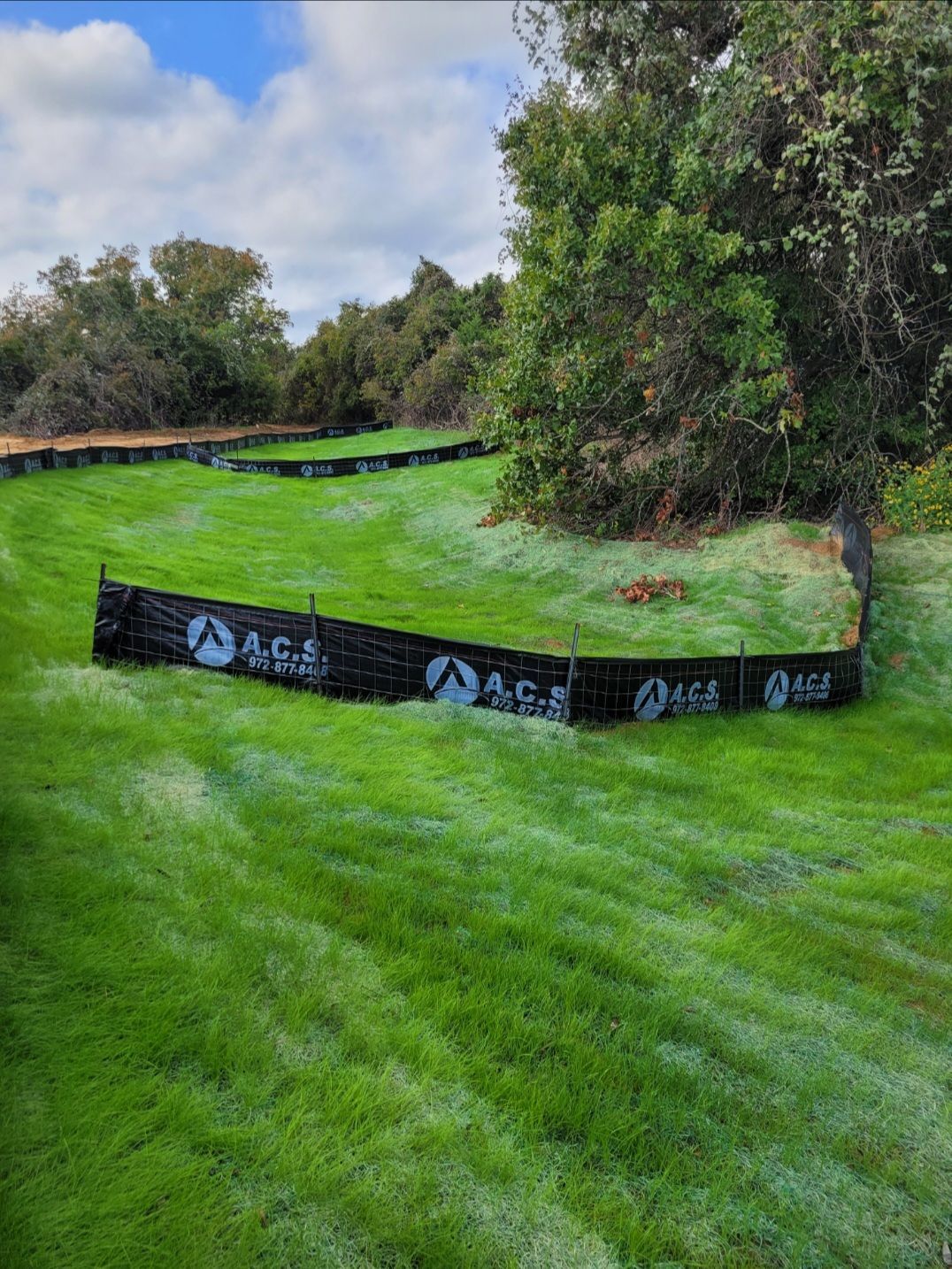 Grassy backyard with a low black raised planter bed and trees under a partly cloudy sky