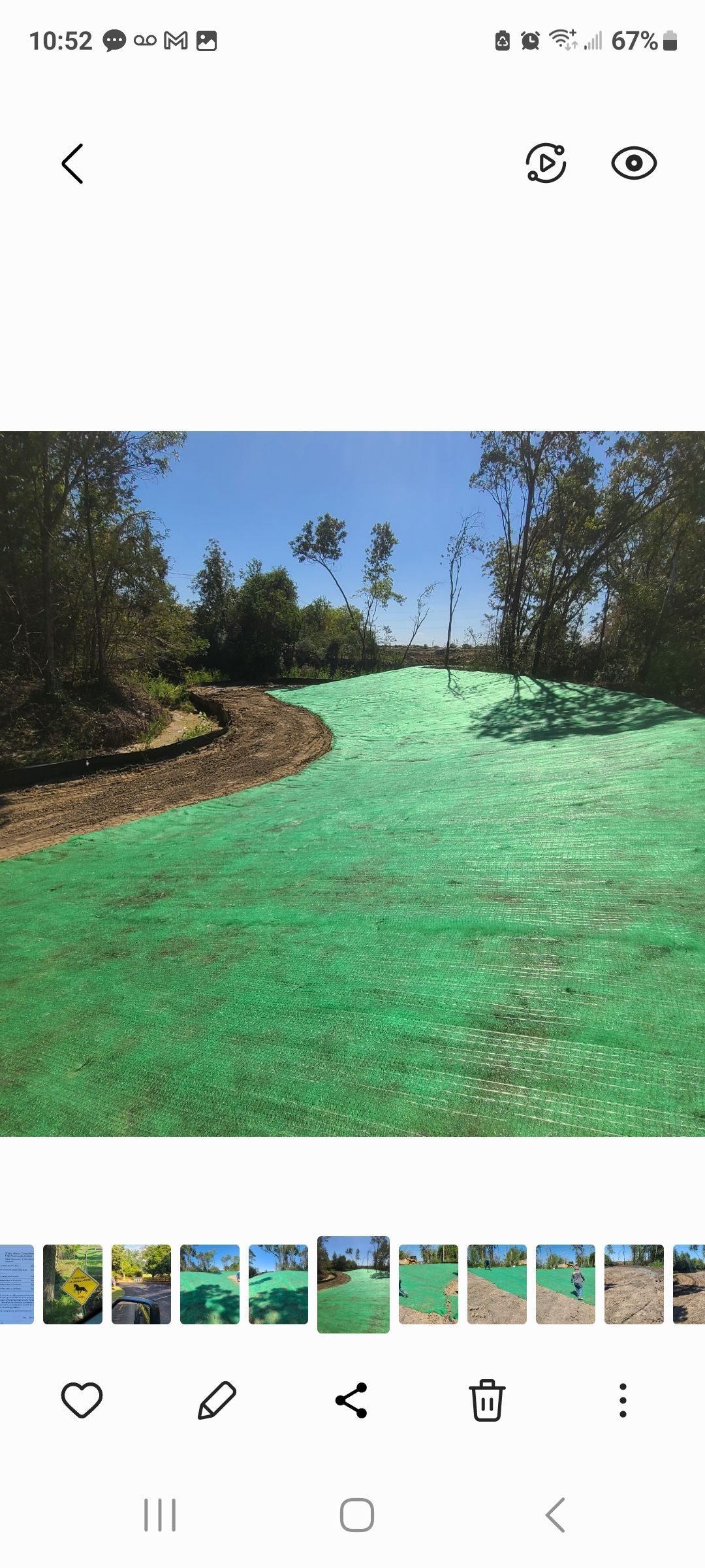 Green carpet-like path winding through trees under a bright blue sky