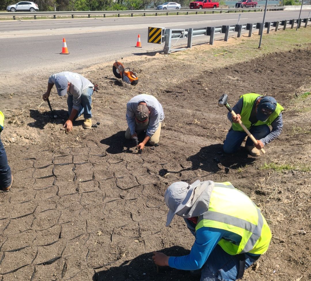 Roadside workers kneel on cracked ground, planting or repairing grass beside a highway under bright sun.