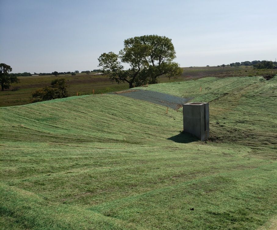 Grassy embankment beside a rural drainage channel with a lone tree under a clear sky