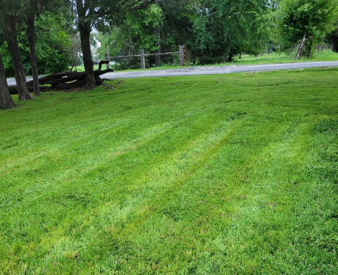 Green grassy yard with trees and a road in the background