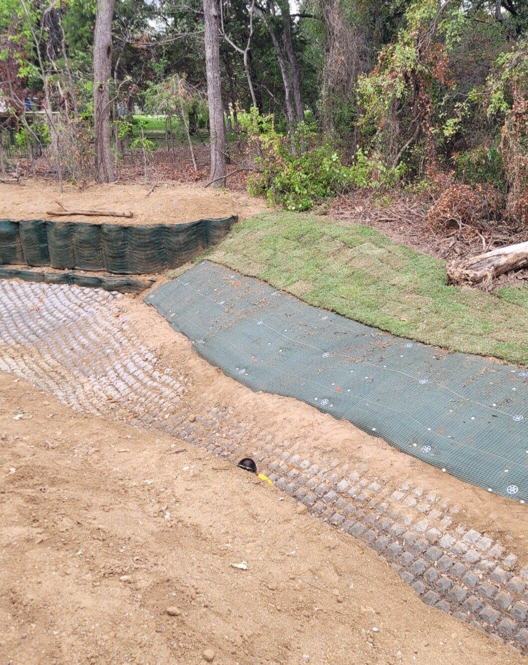 Concrete-lined pond with muddy bank, grassy slope, and trees in the background