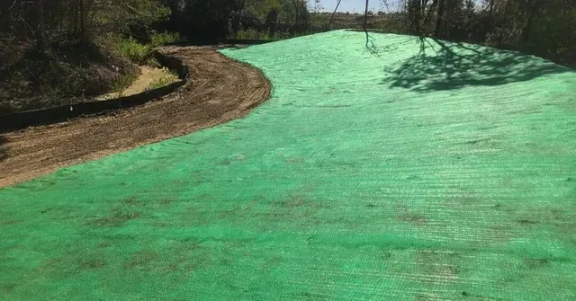 Curved dirt path beside a bright green fairway under trees and clear sky