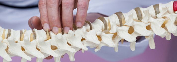 Hands press on a white spine model against a pink background.