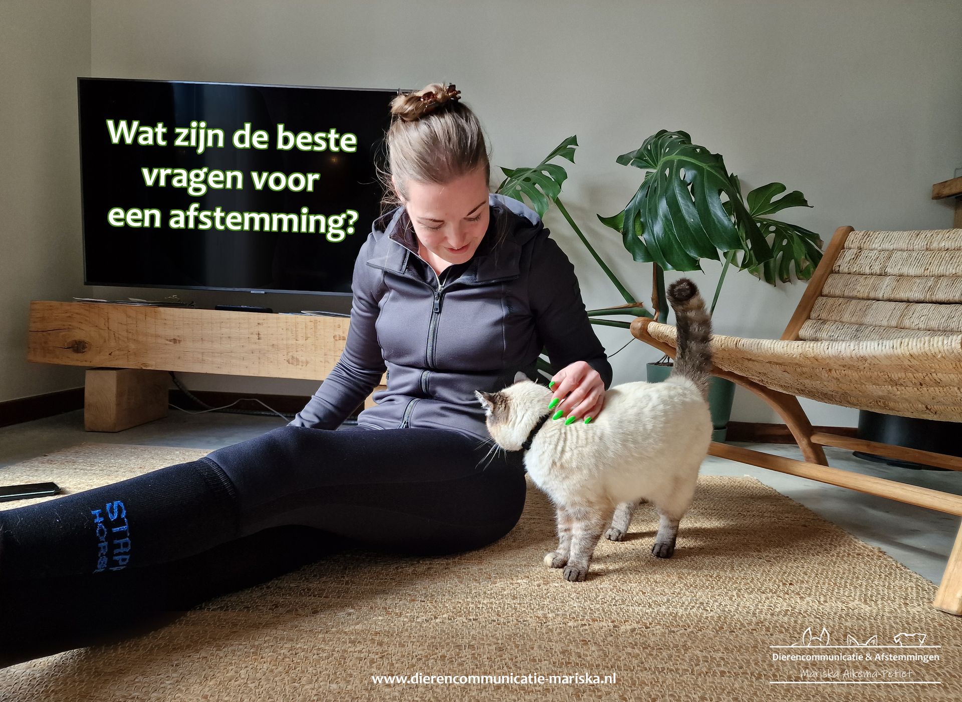 Nog Geen Formateur Voor Nieuw Provinciebestuur: 'Dat Heeft Nog Afstemming Nodig