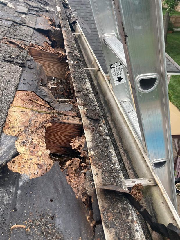 Damaged roof with rotted plywood, missing shingles, and exposed roofing materials near a metal gutter