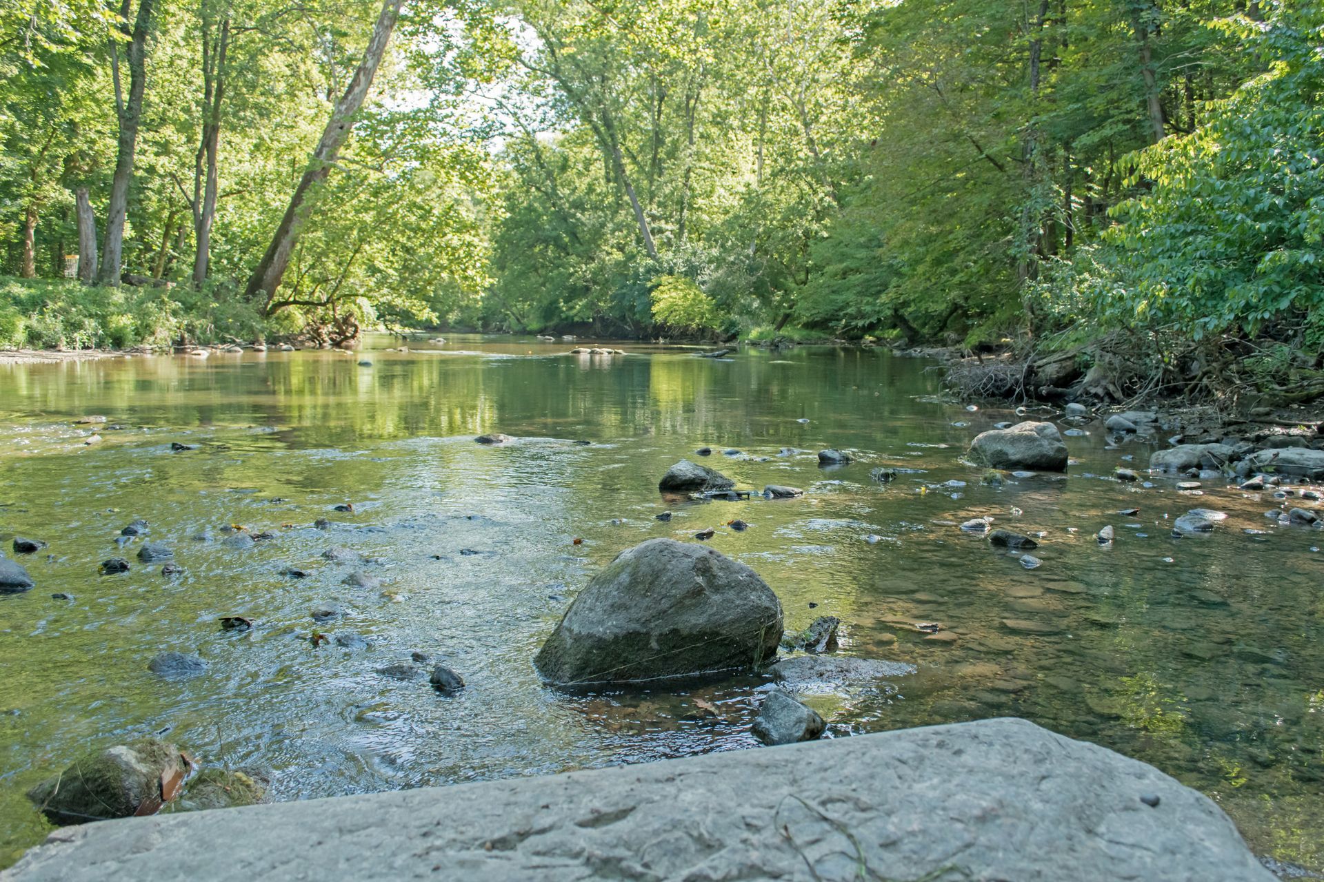 Shallow wooded stream with rocks and sunlit green trees reflected in calm water