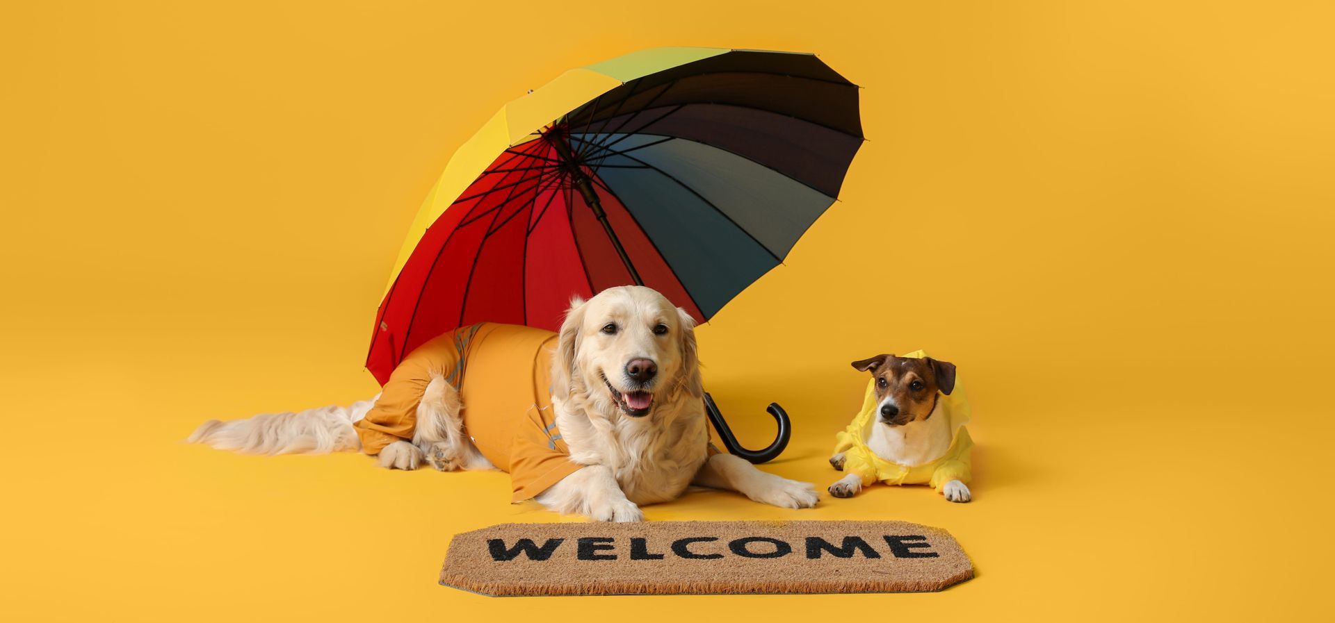 Two dogs under a multicolor umbrella on a yellow background, with a welcome mat.