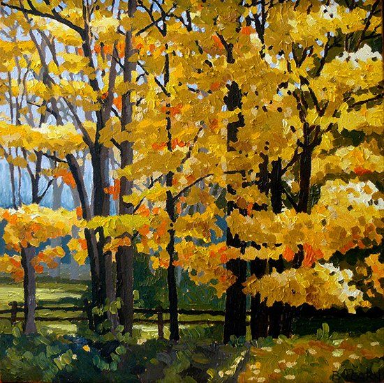 Autumn maples