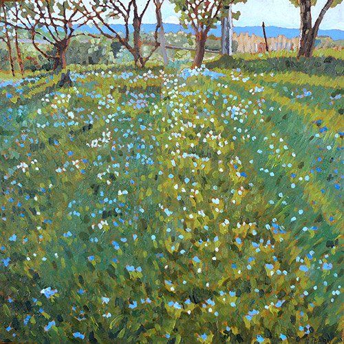 Forget me nots in a field.